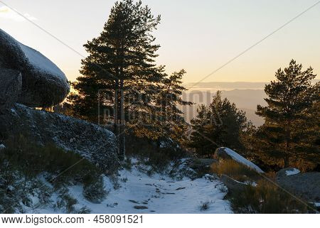 Sunset In La Muela, La Garganta Extremadura, Rocks And Snowy Pines In Spring