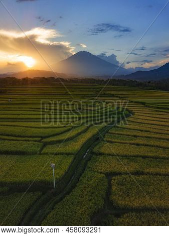 Rice field with Mountain on the background in the morning. The Mountain named Mount Sumbing, Central