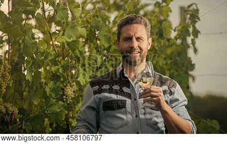 Bearded Man With Wine Glass. Happy Enologist With Wineglass. Sommelier.
