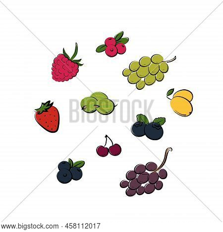 Berries Set. Strawberry Blueberry Grape Cherry And Rasberry Elements