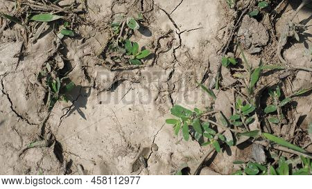 Dry Earth Climate Change