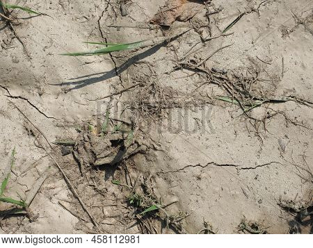 Dry Earth Climate Change