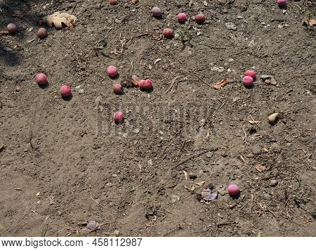 Dry Earth Climate Change