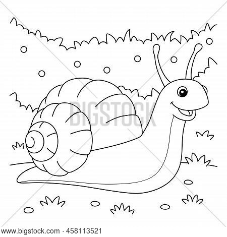 A Cute And Funny Coloring Page Of A Snail Animal. Provides Hours Of Coloring Fun For Children. To Co