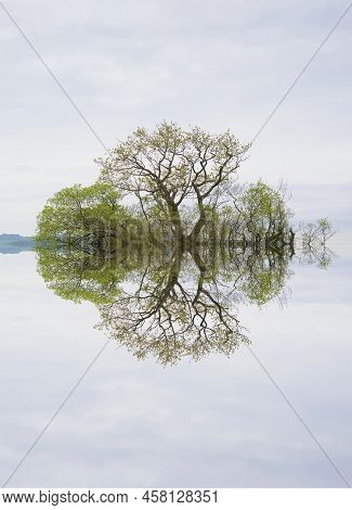 Peaceful Calm Lake Reflection Of Trees On Island At Loch Lomond