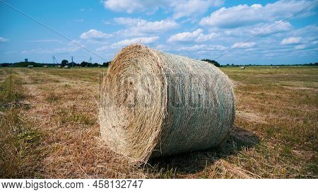 Hay Making. Round Bale Of Hay In The Agricultural Field