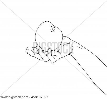 Hand And Apple. Beautiful Vector Drawing. Lines.