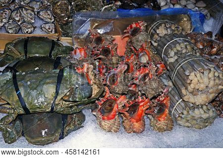 Fresh Sea Snails, Crabs And Clams In A Market Stall For Sell
