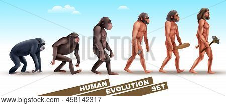 Human Evolution Set Of Characters From Primates To Homo Sapiens On Blue Sky Background Vector Illust