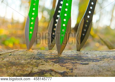 Throwing Knives In A Log In A Sunny Forest.sport And Hobby Concept. Metal Knives For Throwing In A M