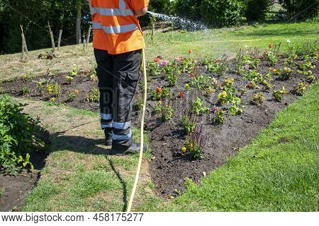 Waist Down Council Worker Watering The Flowers With A Hose At Wyndham Park In Grantham.