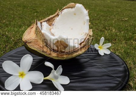 Half Broken Tender Coconut. Fresh Green Coconut Fruit Organic Edible. Tender Pulp Of Coconuts Tropic