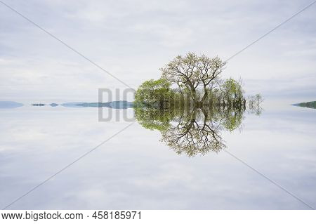 Peaceful Calm Lake Reflection Of Trees On Island At Loch Lomond