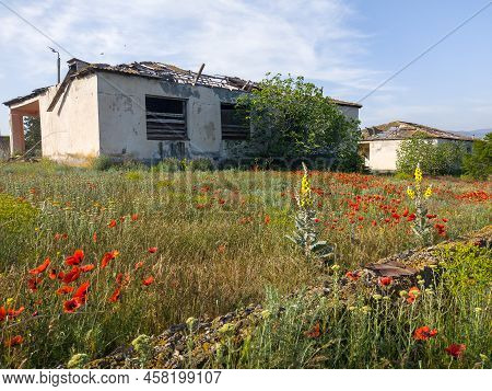 Spring Hiking In Georgia Kahetia Region In Nature Of Fields