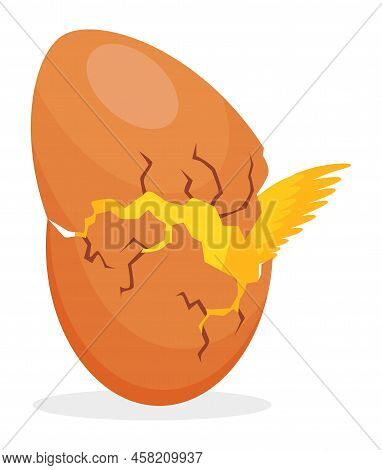 Chicken Hatching From The Egg. Cartoon Baby Chick Born Process. Small Baby Bird Emergence From Egg, 
