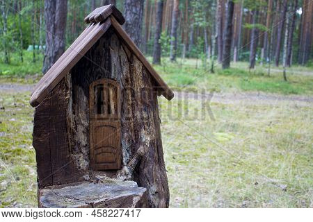 House In A Stump In A Pine Forest. Summer Sunny Day. Housing For Forest Animals With Art Elements. E