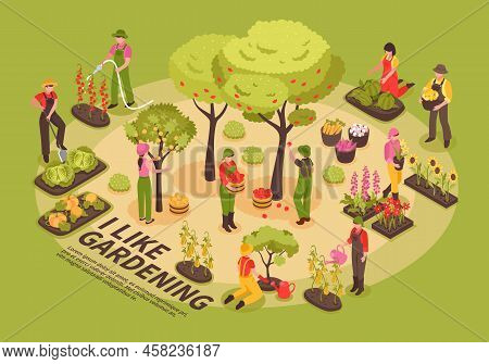 Gardening Infographic Elements Composition Isometric Poster With Trees Flowers  Planting Vegetables 