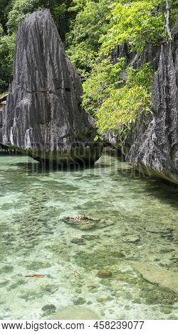 Pristine Beach Water At Palawan, An Archipelagic Province Of The Philippines That Is Located In The 