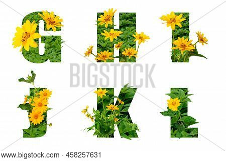 Letters Of The Alphabet G H I J K L Made From Leaves And Yellow Decorative Flowers Flat Lay