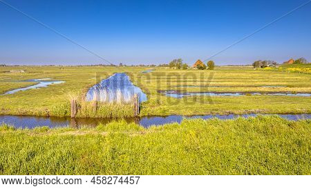 Dutch Countryside Scene With Green Grass Clear Sky And Canals And Ditches With Water.