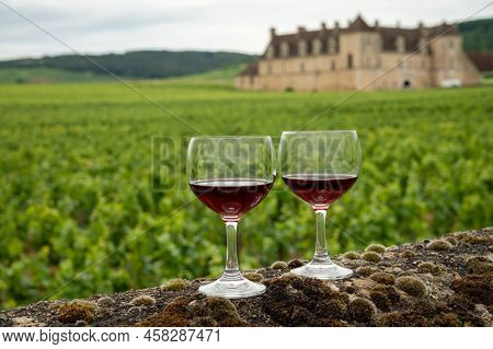 Tasting Of Red Dry Pinot Noir Wine In Glass On Premier And Grand Cru Vineyards In Burgundy Wine Maki