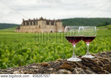 Tasting Of Red Dry Pinot Noir Wine In Glass On Premier And Grand Cru Vineyards In Burgundy Wine Maki