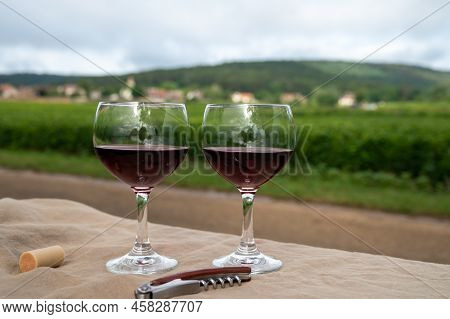 Tasting Of Red Dry Pinot Noir Wine In Glass On Premier And Grand Cru Vineyards In Burgundy Wine Maki