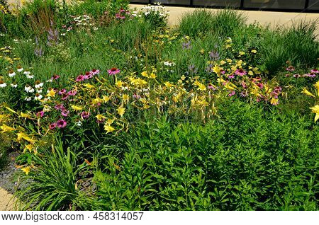 Flowerbed On The Promenade In The Park With Ornamental Perennials. The Edge Is A Curved Curb Of Gran