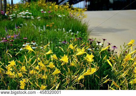 Flowerbed On The Promenade In The Park With Ornamental Perennials. The Edge Is A Curved Curb Of Gran