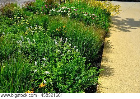 Flowerbed On The Promenade In The Park With Ornamental Perennials. The Edge Is A Curved Curb Of Gran