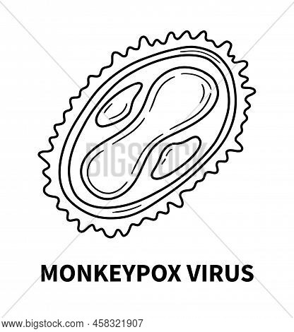 Monkeypox Virus Internal Structure Of The Cell In Close Up