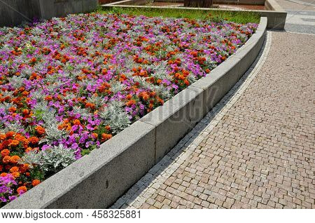 Crazy Annual Bed With A Pink-orange Combination Of Flowers. Large Retaining Walls Of Rounded Sandsto