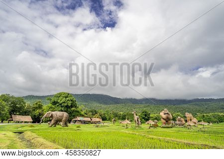 Chiang Mai, Thailand - 16 July 2022 - View Of Popular Rice Fields With Man-made Straw Animals At Hua