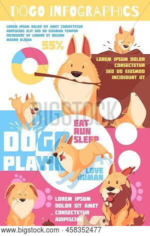 Puppy Behavior Including Playing And Pranks, Love To Human, Colorful Infographics With Charts, Paw P