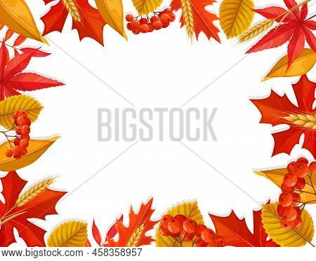 Autumnal Frame With Leaves, Berries And Wheat. Vector Autumn Border With Colorful Red And Yellow Fol