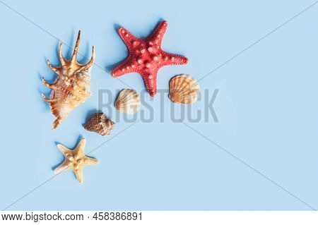 Composition With Sea Shell And Starfish On Blue Minimal Background. Summer Frame Concept, Travel Vac