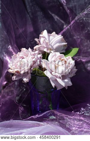 Lilac Roses In A Blue Glass On A Chair Against A Background Of Purple Chiffon