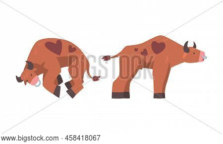 Brown Spotted Bull, Ox Farm Animal Cartoon Vector Illustration