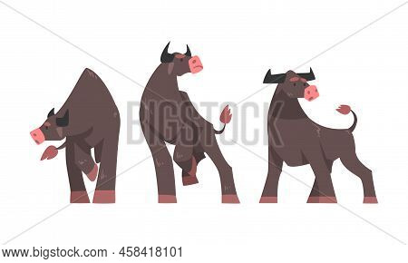 Big Buffalo In Different Poses. Bull Farm Animals Cartoon Vector Illustration