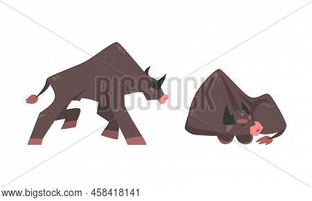 Big Bull Farm Animal In Different Activities Set Cartoon Vector Illustration