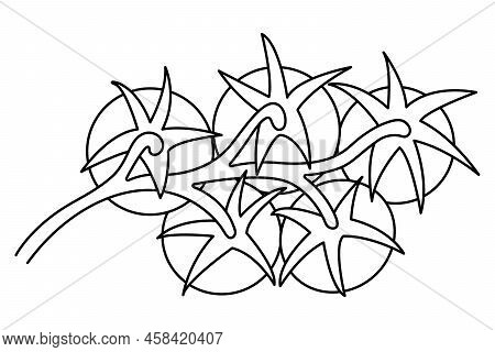 Bunch Of Cherry Tomatoes. Sketch. Vector Illustration. Coloring Book For Children. Doodle Style. Out