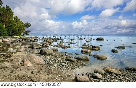 Kaltene Beach Is Covered With Glacial Stones That Stretches Up To Roja Town In Latvia. Kaltene Beach