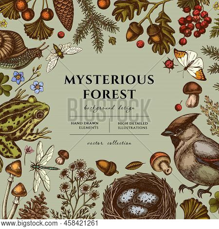 Mysterious Forest Hand Drawn Illustration Design. Background With Retro Waxwing, Snail, Nest, Pool F