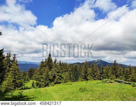 A Walk In The Mountainous Area, Aromatic Herbs