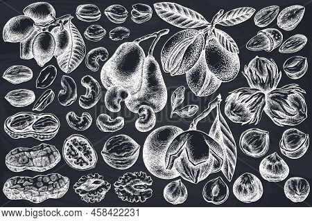 Vector Set Of Hand Drawn Chalk Cashew, Peanut, Pistachio, Hazelnut, Almond, Walnut Stock Illustratio