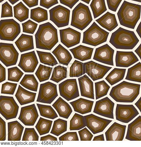 Abstract Modern Turtle Shell Seamless Pattern. Animals Trendy Background. Brown Decorative Vector Il