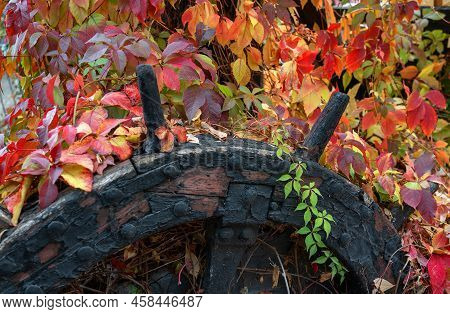 Autumn Park With Wooden Wheel And Red Leaves, Uman, Ukraine, Sofievka Park