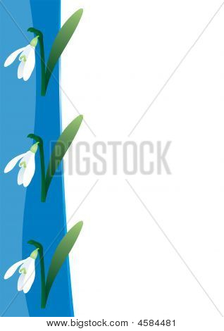 Snowdrop ขอบแม่แบบ