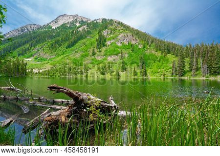 Beautiful Dollar Lake In Gunnison National Forest Along Kebler Pass, Colorado