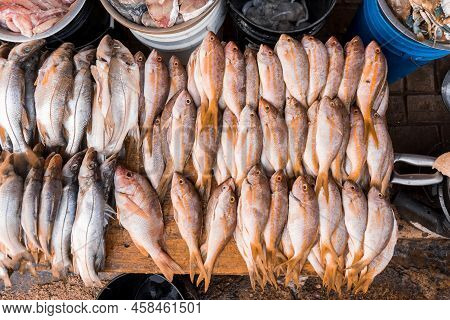Top View Of Fresh Fish For Sale At The Bluefields Dock Market